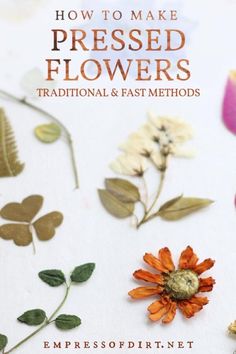 the cover of how to make pressed flowers instantly