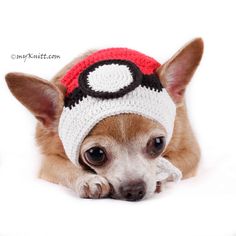 a small dog wearing a knitted hat with a pokeball on it's head