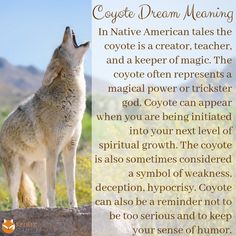 a wolf standing on top of a rock with its mouth open and the words coyote dream meaning above it