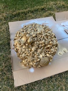 there is a box with shells on it