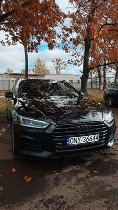 a black car parked on the side of a road next to trees with orange leaves