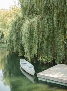 there is a boat that is docked at the water's edge in front of some trees