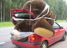 a large teddy bear sitting in the back of a red car