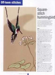 an article about the hummingbird and its surroundings is featured in this magazine, titled