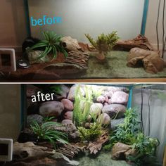 before and after photos of an aquarium with rocks, plants, and gravel in it