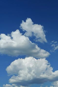 Clouds. Clouds Reference Photo, Clouds Reference, Sole Aesthetic, Cloud Reference, Clouds Images, Real Clouds, Cloud Watching, Cloud Images