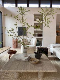 a living room filled with furniture and a tree in the middle of the room on top of a coffee table