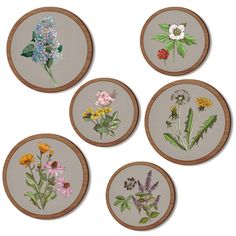 four embroidered coasters with wildflowers and other flowers in them on a white background