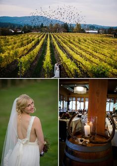 a bride and groom standing in front of a vineyard with birds flying over the vines