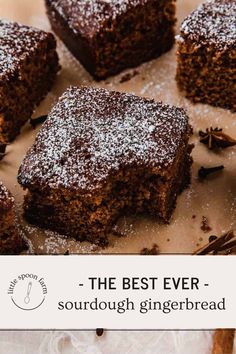 the best ever - sourdough gingerbread brownies with cinnamon sugar on top