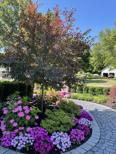 the colorful flowers are blooming around the tree