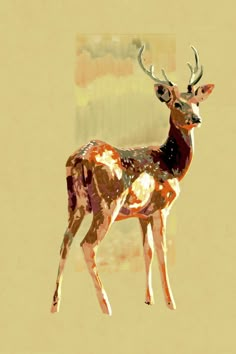 Digital by Guillermo Freytes Deer Landscape Painting, Animal Canvas Painting Ideas, Abstract Deer Painting, Deer Drawing Reference, Deer Art Painting, Baby Deer Painting, Watercolor Deer Painting, Horse Art Painting, Exotic Animals Art