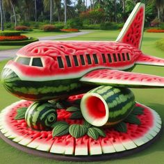 a plane made out of watermelon sitting on top of a green field