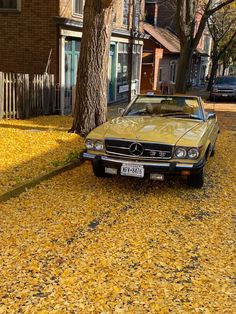 a yellow car parked on the side of a road next to a tree with leaves all over it