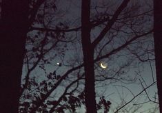 the moon is seen through some trees at night