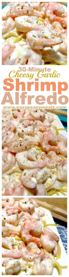 shrimp alfredo is an easy and delicious appetizer