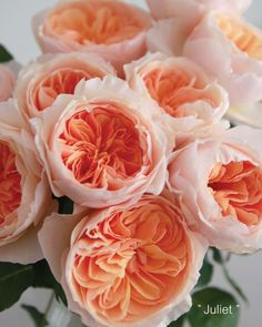 an arrangement of pink and orange flowers in a vase