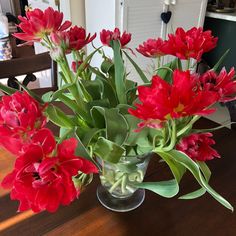 a glass vase filled with red flowers on top of a wooden table