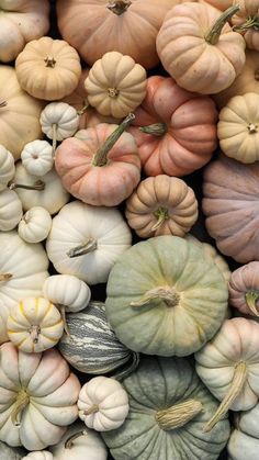 many different types of pumpkins are stacked together