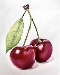 two cherries with green leaves on white background