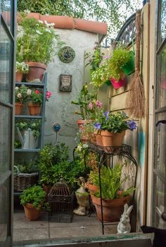 an outdoor garden with potted plants and flowers on the side of a building, next to a cat statue