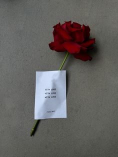 a single red rose sitting on top of a piece of paper next to a note