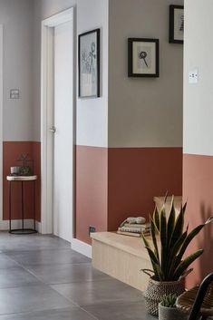 a living room with a couch and potted plant