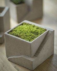 an advertisement for a planter with moss growing in the center and on the bottom