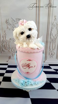 a small white dog sitting in a pink bucket