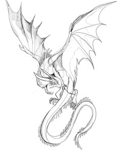 a black and white drawing of a dragon