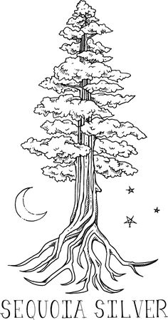 the logo for sequja silver's tree of life, which has been drawn by