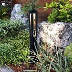 a garden with rocks and plants in it