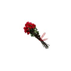 a bouquet of red roses on a white background