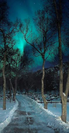 the night sky is lit up with green and blue aurora bores in the background