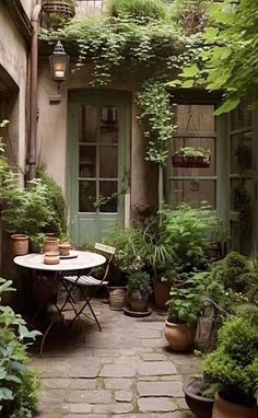 an outdoor patio with potted plants on the side and a small table in the middle