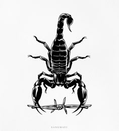 a black and white drawing of a scorpion