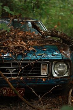 an old blue car in the woods with leaves on it's hood and headlight