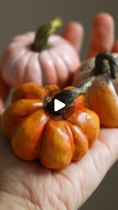 a person holding two small pumpkins in their hand