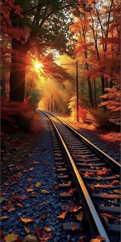 a train track with leaves on it and the sun shining through the trees in the background