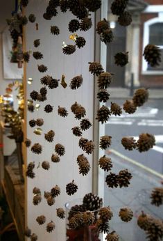 many pine cones are hanging on the wall