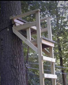 a wooden ladder that is attached to a tree