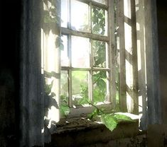 an old window with ivy growing out of it's panes in the sunlight