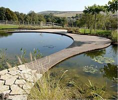 a wooden bridge over a small pond with lily pads on the ground and greenery around it