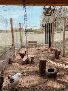 chickens are walking around in an enclosed area