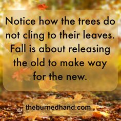 an autumn scene with leaves on the ground and a quote about how to use trees