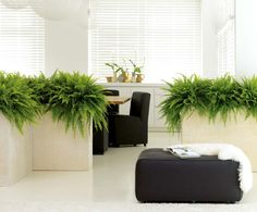 two planters with green plants in them sit on the floor next to a couch