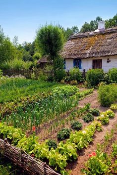 an old farm house with a garden in the foreground