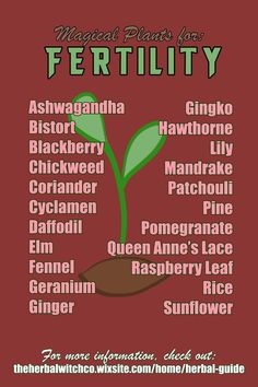 Herb Correspondences, Plants And Their Uses, Pregnancy Herbs, Pregnancy Spells, Magical Plants, Fertility Spells, Herbal Remedies Recipes