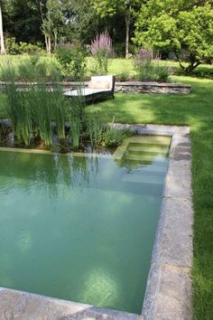 an empty pool in the middle of a grassy area