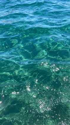 the water is very clear and blue with little ripples on it's surface